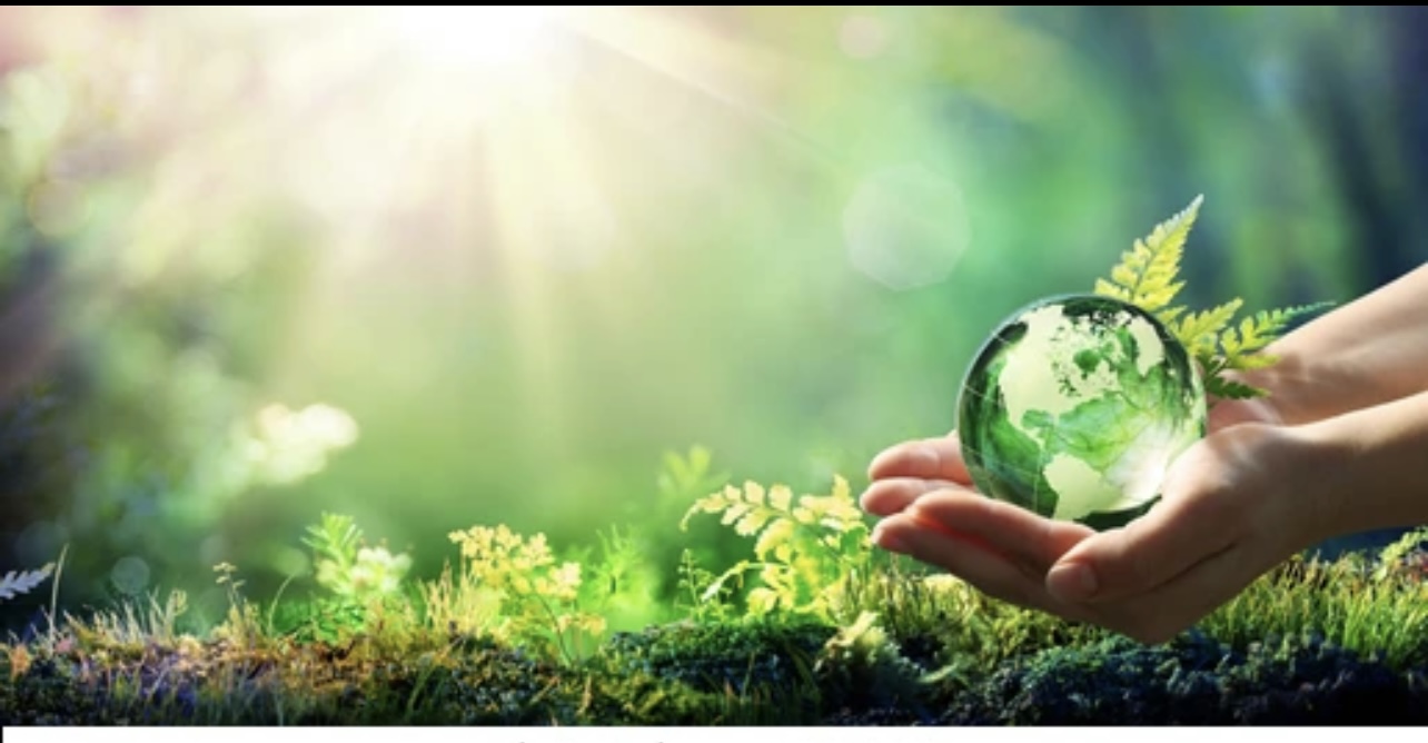 Çevresel Yükümlülükler için Mali Karşılıklar Uygulama Rehberi