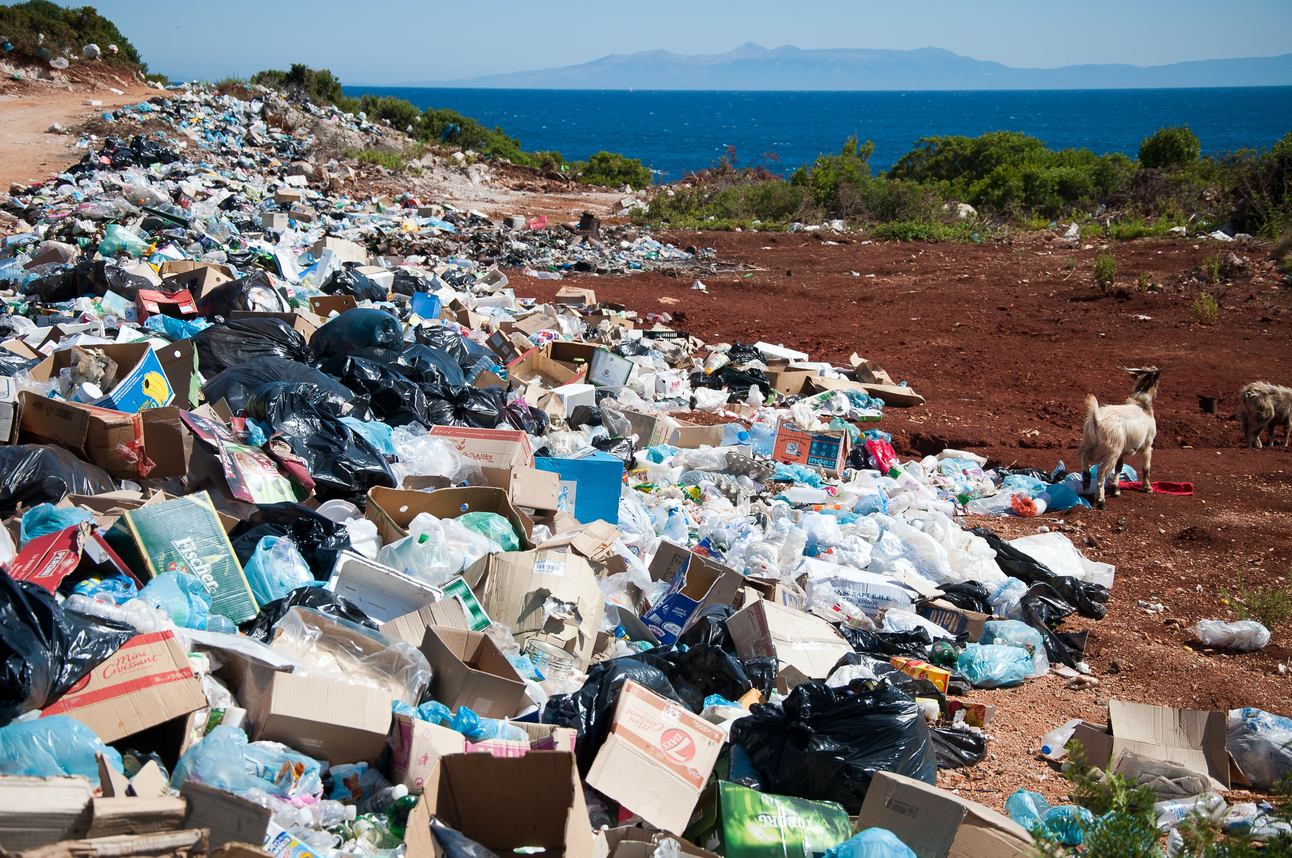 Guía para inspectores: Aplicación de la legislación nacional sobre traslados de residuos plásticos